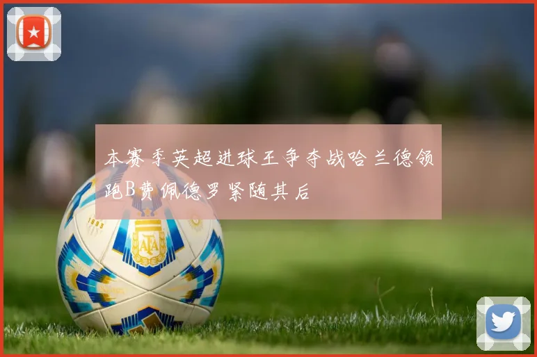 本赛季英超进球王争夺战哈兰德领跑B费佩德罗紧随其后